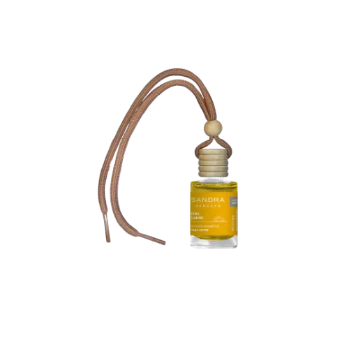 Imagen principal de Difusor para Auto Piña Caribe